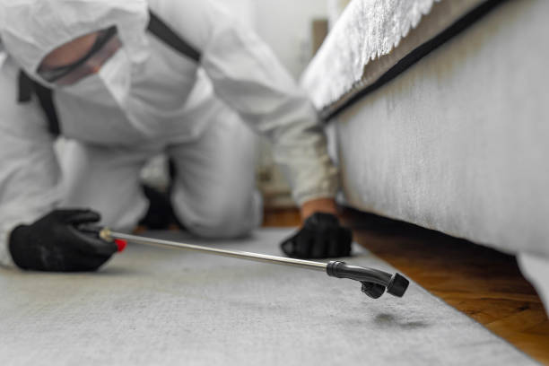 Professional Ant Control technician working in New Waverly, TX
